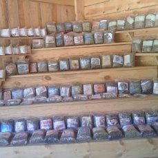 Чайные сборы Горного Алтая большие